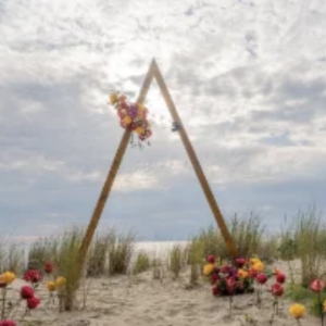 arche triangle